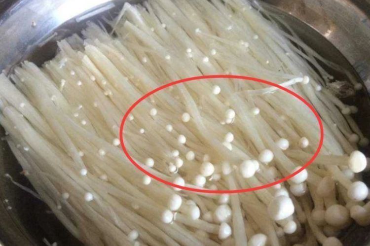 跳脚|吃麻辣烫时,多拿“3种食物”,老板虽对你笑,心里却气跳脚