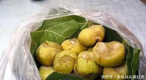 浑身|这种水果看起来像“小笼包”,当地人叫“糖包子”浑身脏兮兮的