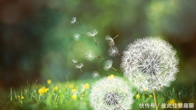 不靠|爱吹牛的人,一般都不靠谱