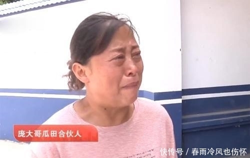 倒赔|西瓜被偷却倒赔小偷300元，瓜农哭诉：偷吧，以后再也不敢阻拦了