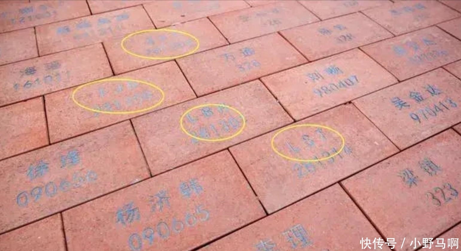 名字|毕业生认捐母校5千块砖铺路 每块31元刻上自己名字