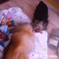 破车|“凭什么男人管20w的车叫破车，给女方20w的彩礼就喊天价？”