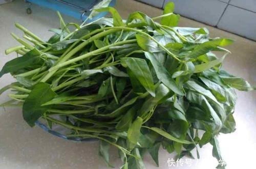 蒜蓉空心菜|空心菜一炒就发黑注意这两步,怎么炒都翠绿不发黑