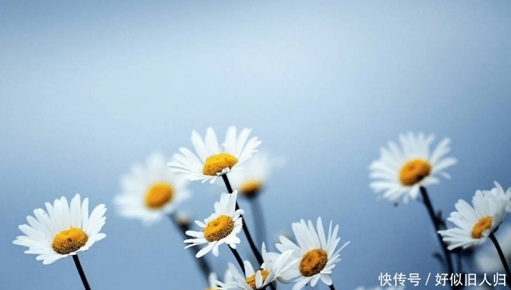 跪下|佛法：到了60岁，有四种饭局，哪怕别人跪下求你，也不要参加