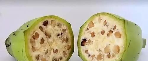 形态|水果的原始形态,面对这样的西瓜,夏天你还会想喝西瓜汁吗