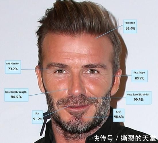 医生|整形医生科学认证地表最帅男星排行TOP10