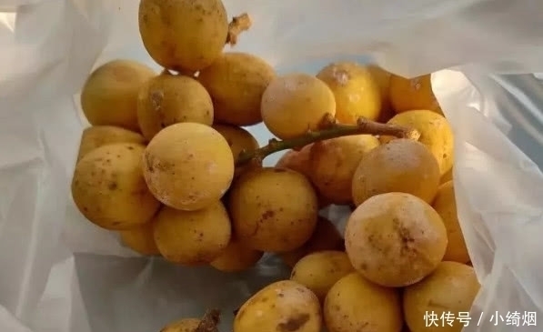 龙眼|名字带“龙”的几种水果,我赌2个冰棒,你只吃过两种