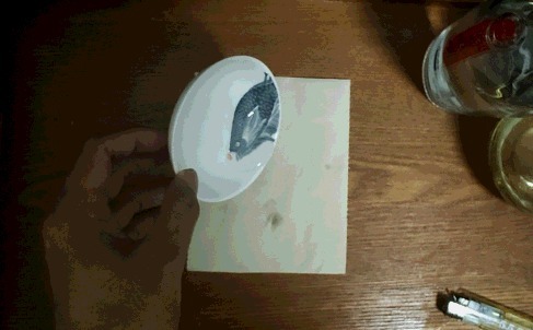 白酒的执行|怎么分辨白酒是不是纯粮食酒?学会这几招,轻松辨别真假白酒