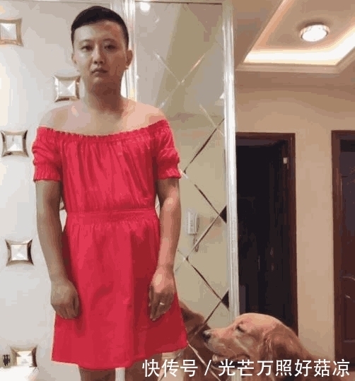 男友|金毛寄养在男友家, 半夜收到男友发来视频, 画面让人不忍直视
