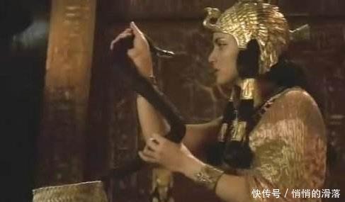 毒蛇|埃及艳后50岁用毒蛇结束生命,死时为少女样貌,原因藏在棺椁中!