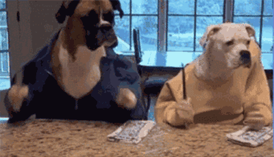 豆腐|13道简单易学的家常菜奉上,过年在家招待客人必备!