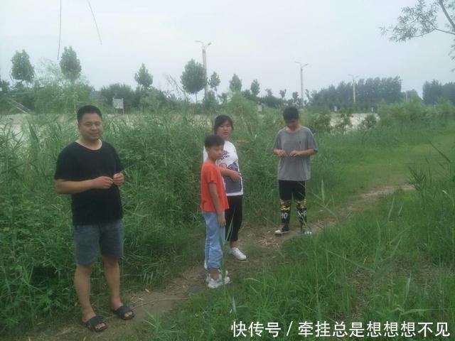 河南省|河南省民权县任庄国家湿地公园快来看,这里的千亩荷花开了