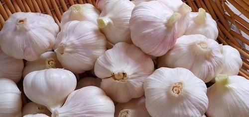 方法|趁大蒜不贵,多做点糖蒜,分享50年腌糖蒜土方法给你,酸甜酥脆