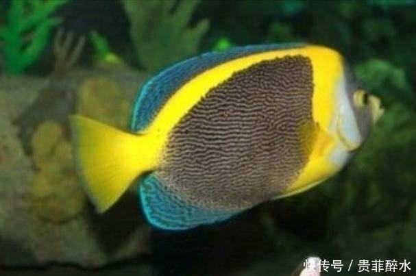 流水声|安检时发现此女子身上有流水声没想到安检发现这些东西！