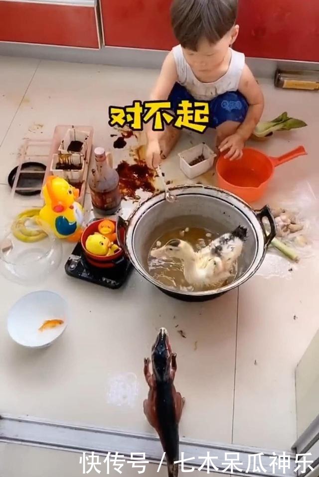  口水|熊孩子3天没吃肉，自己动手做“口水鸭”，鸭子：我当时害怕极了