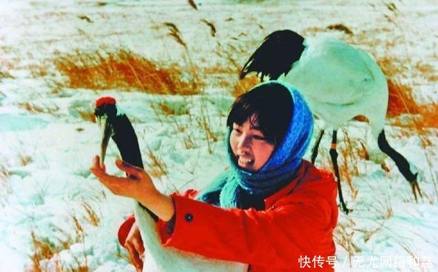 坚守|一家三代人,两人为保护丹顶鹤牺牲,至今后代仍坚守“护鹤”使命