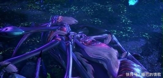 蜘蛛|斗罗:最凶残的3只蜘蛛,一只能屠神,2只让唐三生不如死