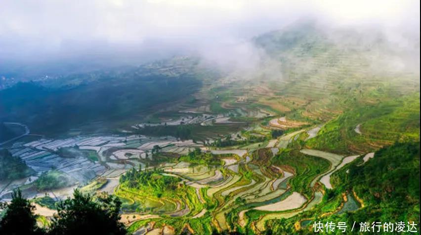 城市|跑男终于发现温州这座宝藏城市啦