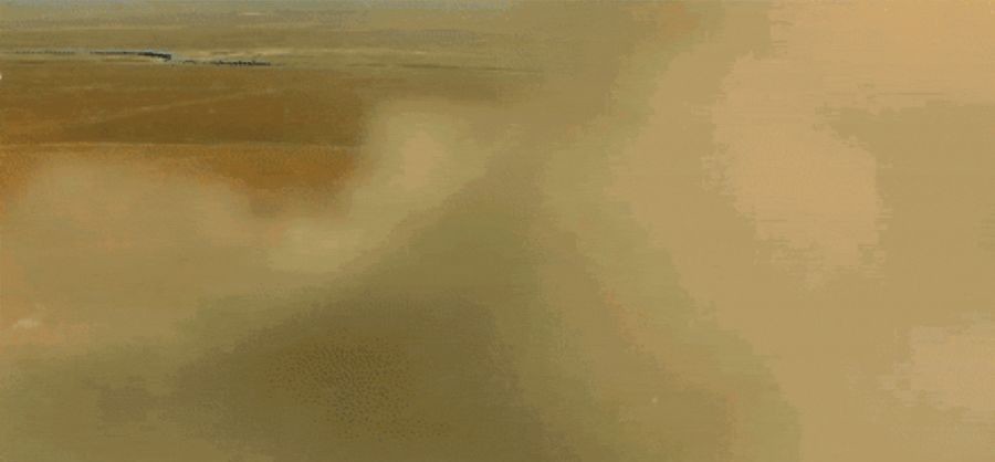 不吐|吃葡萄可以不吐皮,但吃“它”一定要吐很多籽!