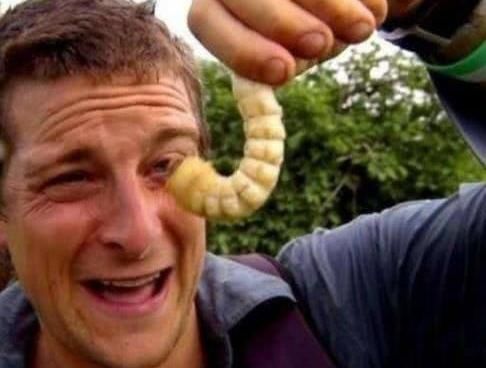  纪录片|还记得贝爷吗号称“站在食物链顶端”的男人，为何突然销声匿迹