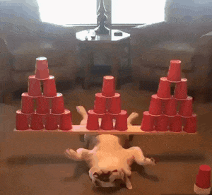 GIF|搞笑GIF:公司发现一漂亮的女工