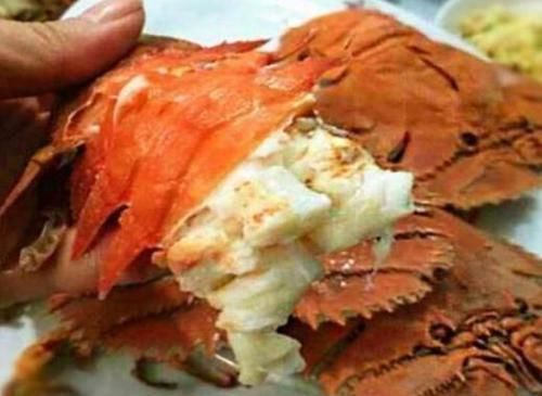 美食|在柬埔寨吃顿饭,只点了2只不起眼的'拖鞋龙虾',结账时快哭了