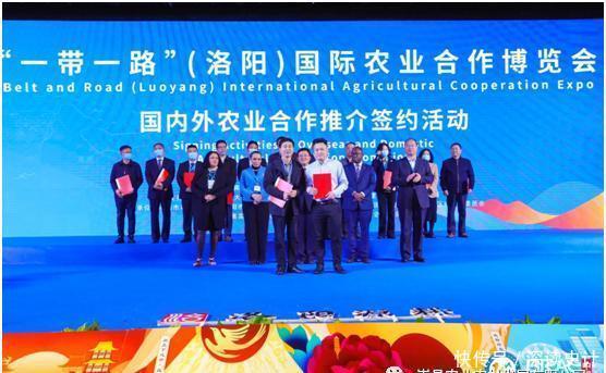 农产品|“嵩上好礼”——农产品区域公用品牌发布会