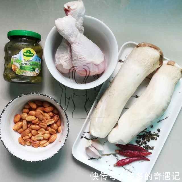  宫保风味|酸青瓜鸡肉拌杏鲍菇，轻松干掉两碗饭