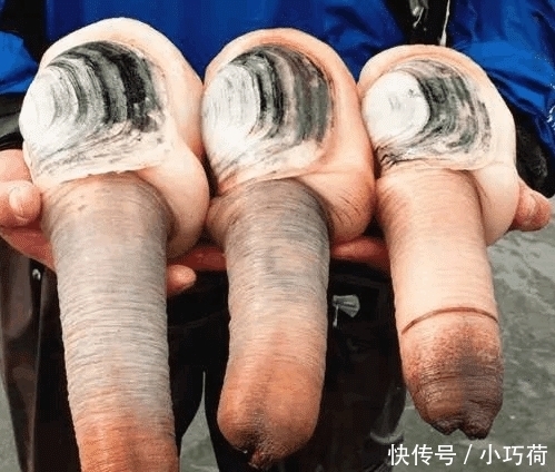 天天|和南方人吃饭的尴尬!让人“想歪”的菜,外地人吃不惯!当地天天想要