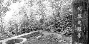 惨案|百家村惨案:一个村庄的刻骨伤痛