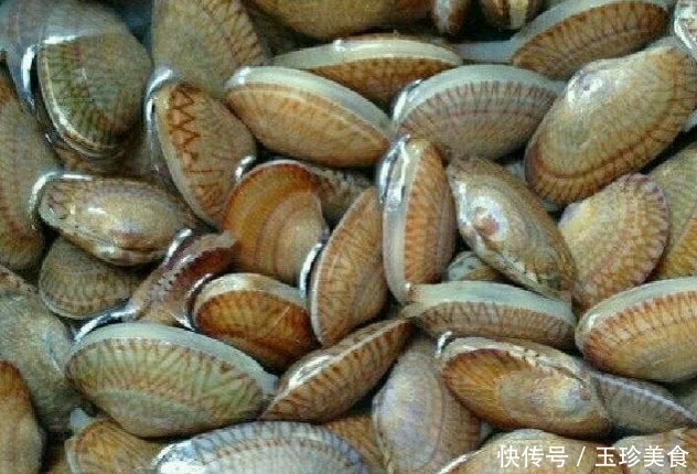 吐沙|花甲店老板透露:洗花甲时这么做,就会疯狂吐沙,拦都拦不住!