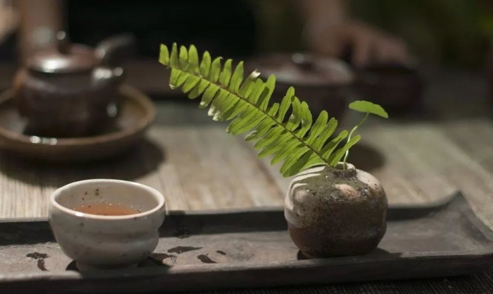 孙皓|你知道“以茶代酒”是怎么来的吗？