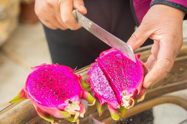 火龙果|颜华火龙果丨特别爱吃火龙果,不知道火龙果酵素的作用有哪些