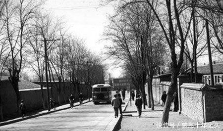 犯案|男子10年犯案380起，被称作双桥老流氓，300民兵蹲守都没抓住