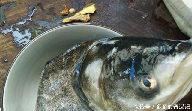 大厨|做鱼汤时,应该用冷水还是热水大厨一旦用错,鱼汤不白还很腥