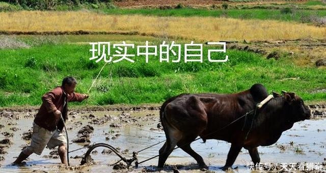 对比|魔兽世界各种族差距对比，图四是血精灵被黑的最惨的一次！