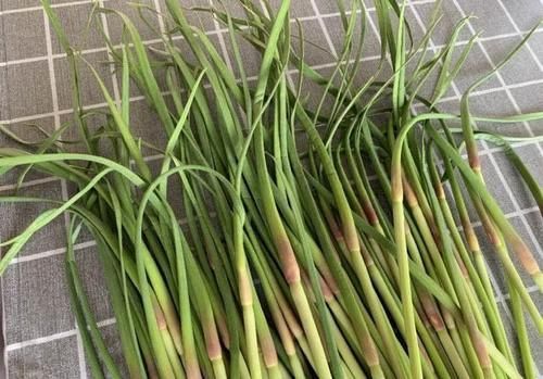 新鲜|买蒜苔时,挑粗的还是细的好老菜农说漏了嘴,以后别乱买了