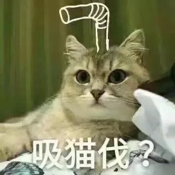  哥斯拉|要是小猫咪突然变成了庞然大物，这个世界会是什么样的