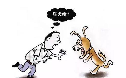 告诉|别再大意了!9岁孩童被狗抓伤因怕父母责骂,造成狂犬病发作死亡