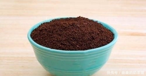 西餐厅|去西餐厅吃饭,服务员端上一盘“巧克力粉”,吃掉是会闹笑话的