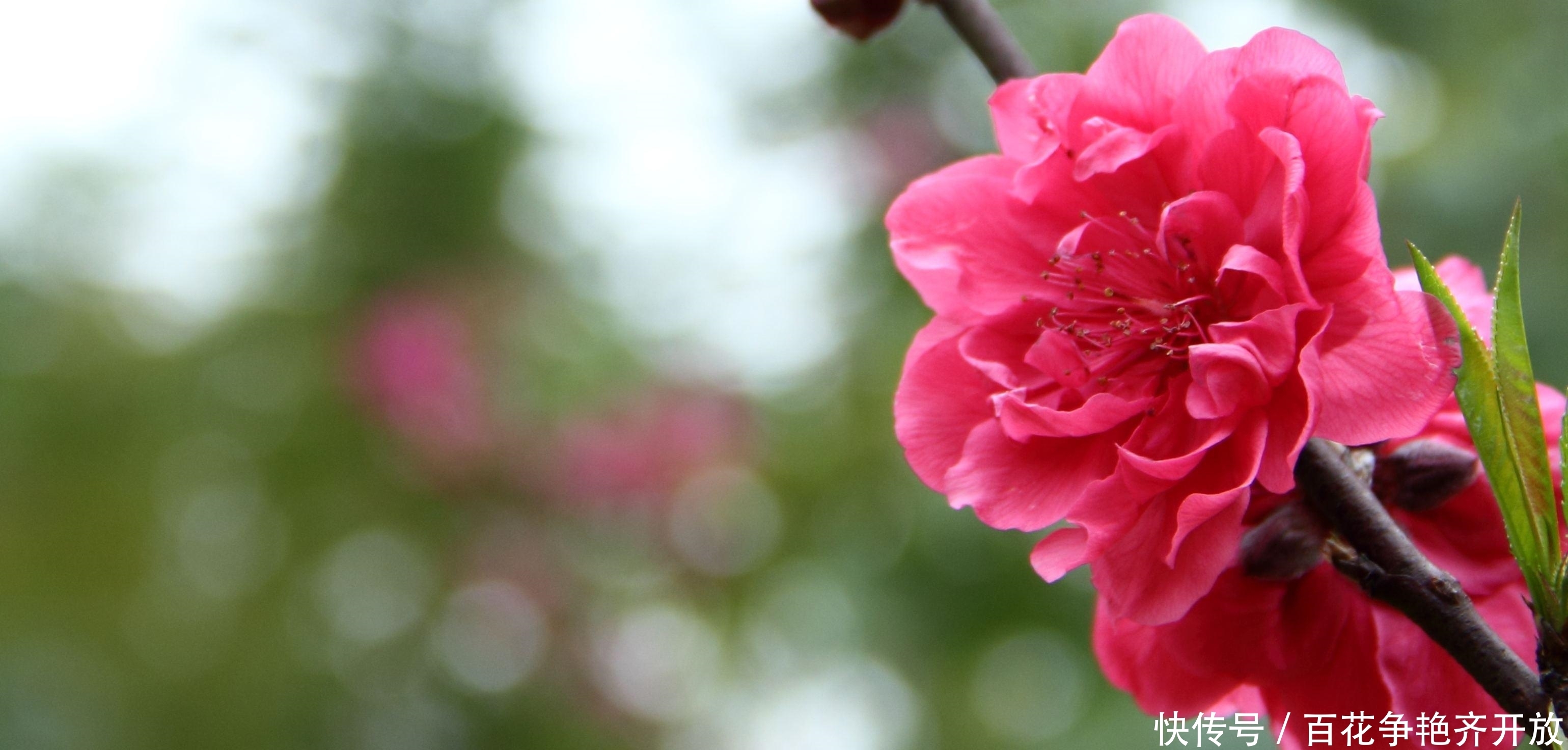 收获|苛求完美的几大星座,运势迎来大逆转,生活中不断有收获