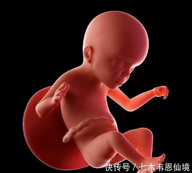  医生|四维做到一半，小家伙竟然在妈妈腹中干“坏事”，连医生都乐了