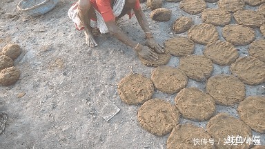 神奇|为什么印度人都爱喝“牛尿”，它真的这么神奇吗