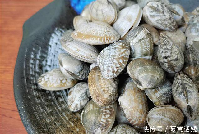 清洗|花蛤好吃难清洗?清洗时不能只加盐,多加这3样,花蛤疯狂吐沙