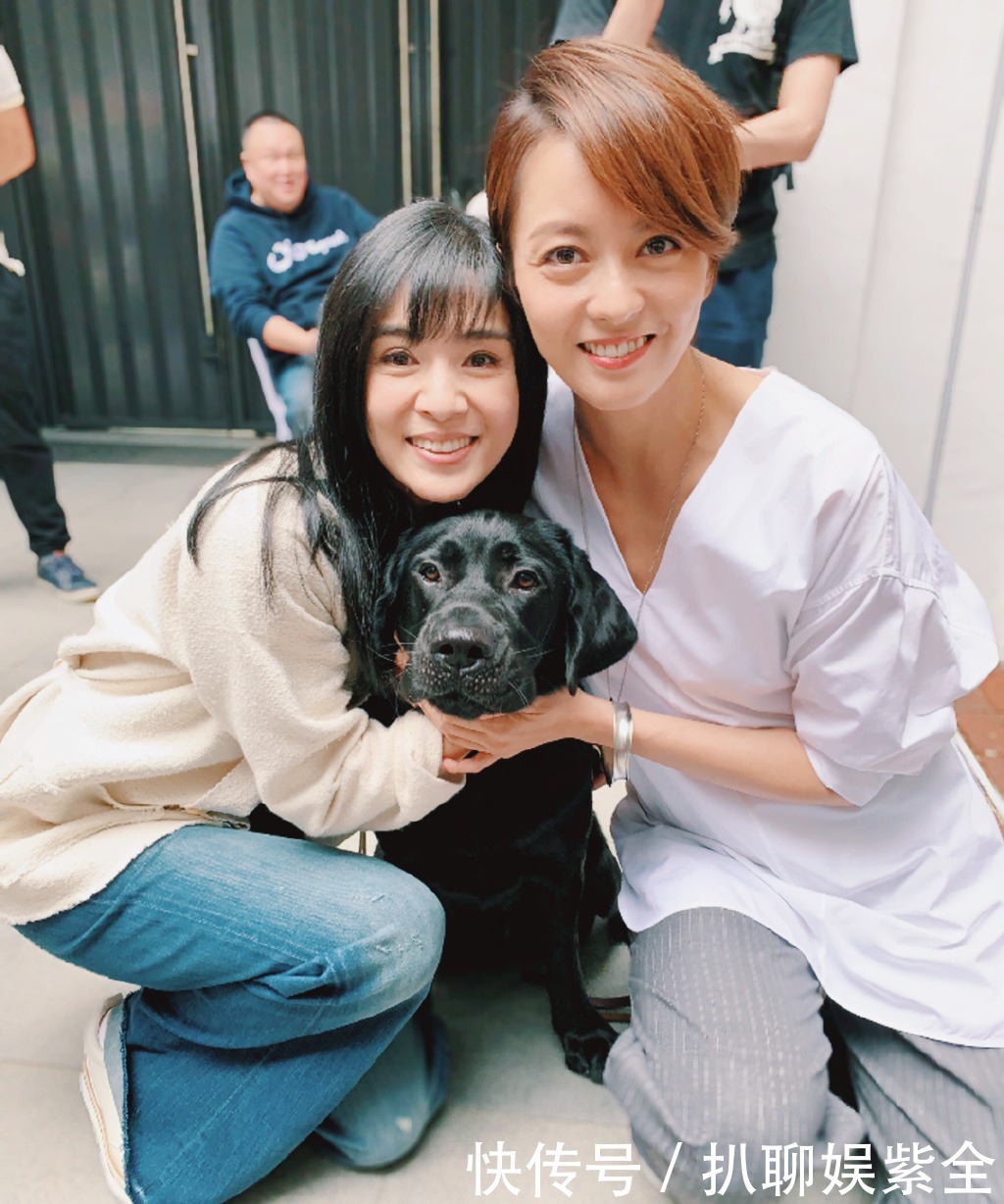  迟暮|美人不迟暮！杨采妮的图集