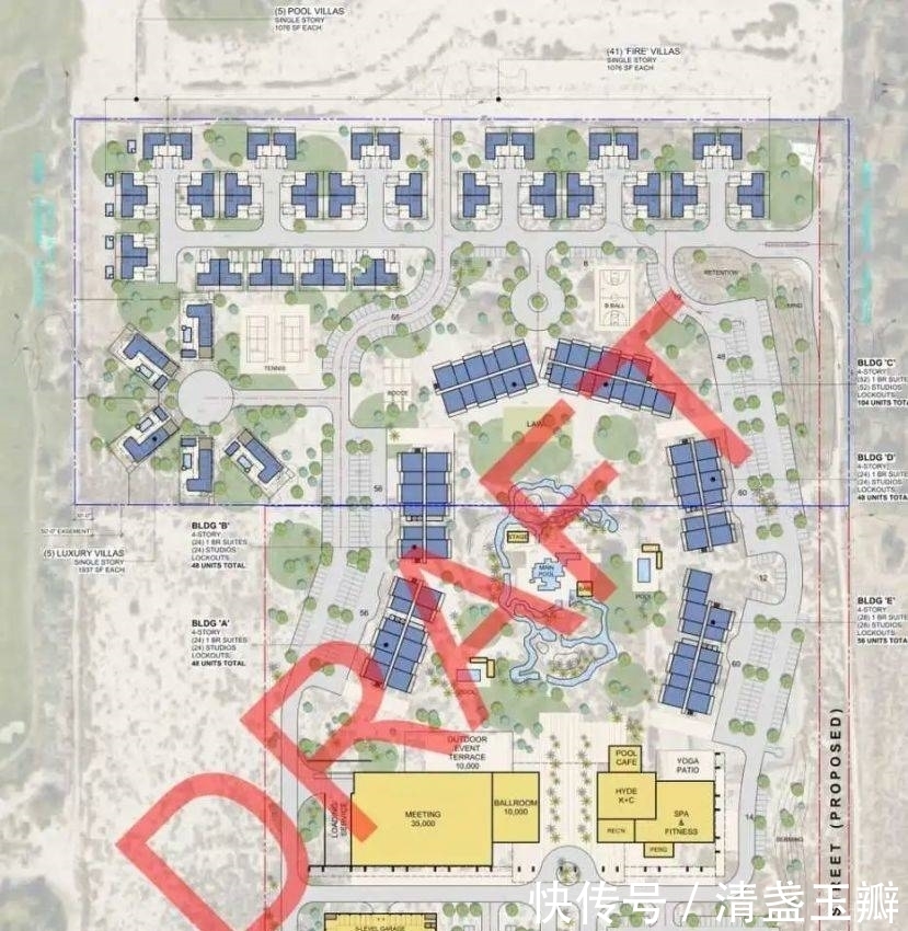 被捕|惊！华人美女CEO美国被捕 涉诈骗1.5亿！