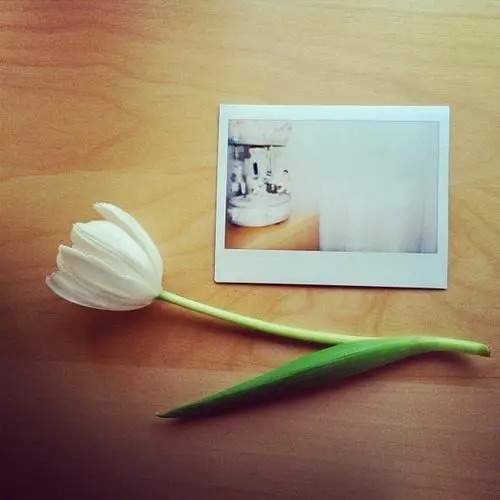  尺度|人生的价值，即以其人对于当代所做的工作为尺度