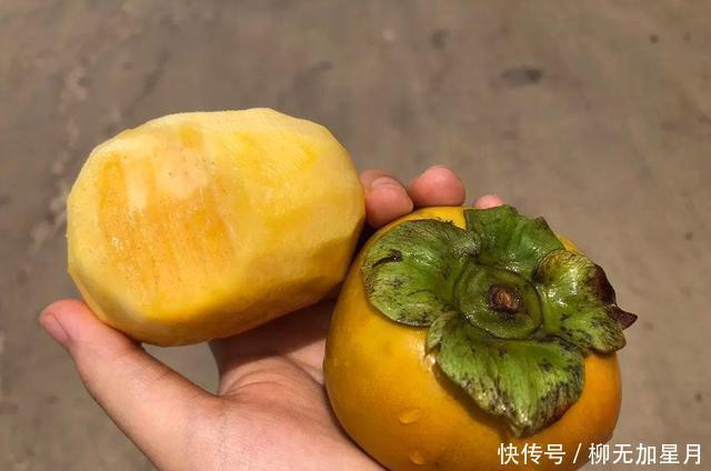 食用|很多人没尝过的这款柿子,美味程度却比软柿加倍!