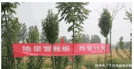标语|实拍皖北“雷人”标语, 是让农民害怕, 还是让农民敬畏呢?