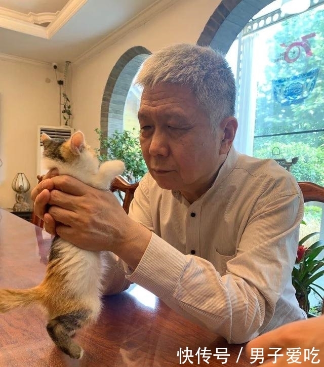  前来|观复猫天团上新，米麒麟前来报道啦